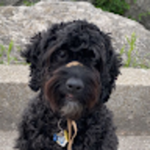 Meet your Posher, Victoria - Picture 1 of 1